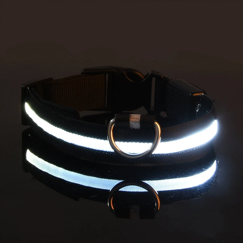 Colar de LED que brilha no escuro, recarregável - SuperLight