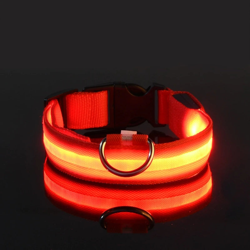 Colar de LED que brilha no escuro, recarregável - SuperLight
